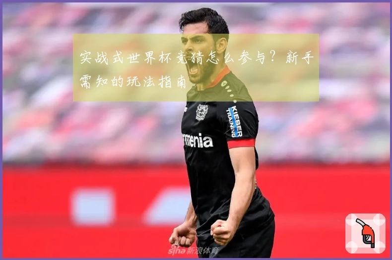 实战式世界杯竞猜怎么参与？新手需知的玩法指南