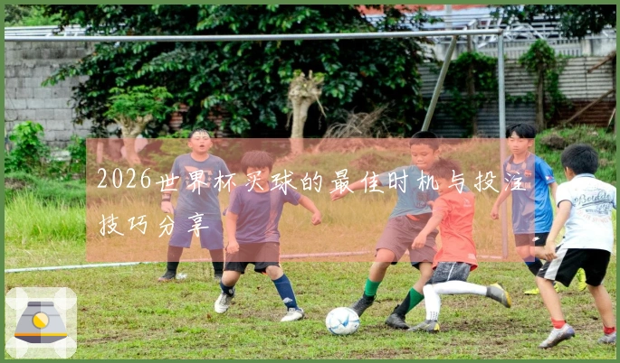 2026世界杯买球的最佳时机与投注技巧分享