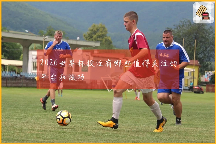 2026世界杯投注有哪些值得关注的平台和技巧