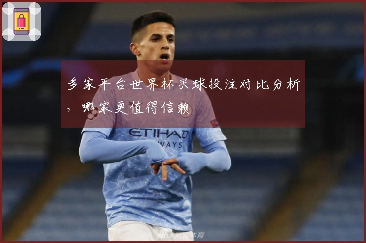 多家平台世界杯买球投注对比分析，哪家更值得信赖