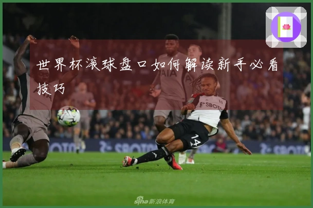 世界杯滚球盘口如何解读新手必看技巧