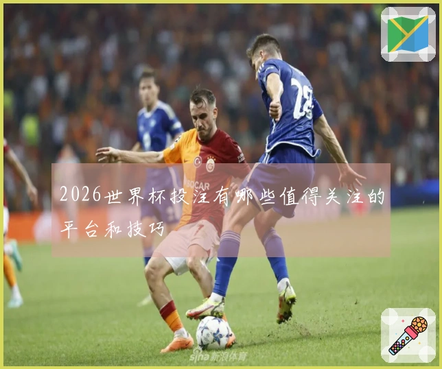 2026世界杯投注有哪些值得关注的平台和技巧
