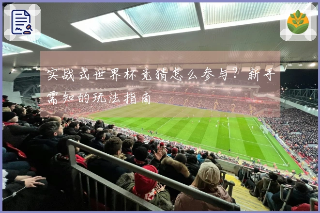 实战式世界杯竞猜怎么参与？新手需知的玩法指南